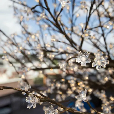 Room00 Hostel Lizbona