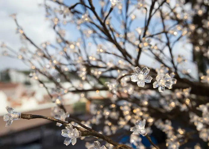 Room00 Hostel Lisboa